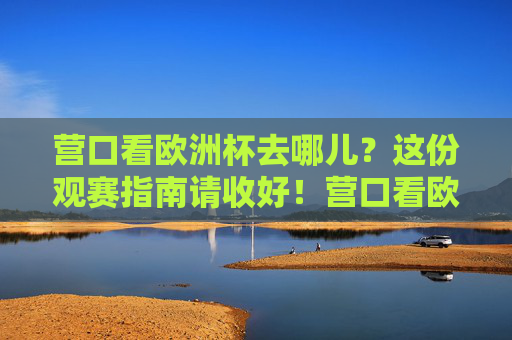 营口看欧洲杯去哪儿?这份观赛指南请收好!营口看欧洲杯去哪儿?观赛指南请收!