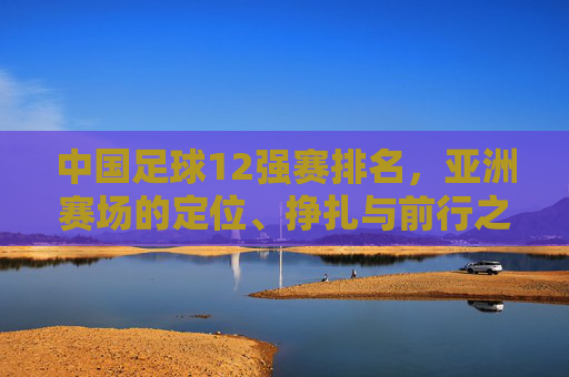 中国足球12强赛排名,亚洲赛场的定位、挣扎与前行之路