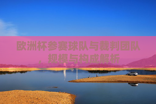 欧洲杯参赛球队与裁判团队,规模与构成解析