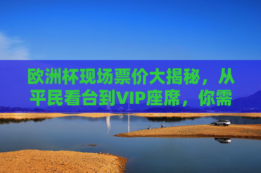 欧洲杯现场票价大揭秘，从平民看台到VIP座席，你需要花多少钱？欧洲杯票价大揭秘，平民看台到VIP座席，多少钱？