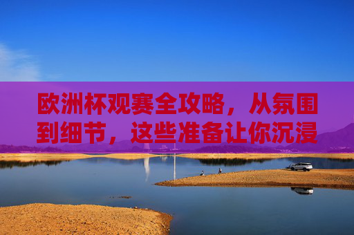 欧洲杯观赛全攻略，从氛围到细节，这些准备让你沉浸式看球！欧洲杯观赛全攻略，氛围细节到位，沉浸式看球