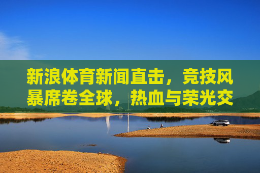 新浪体育新闻直击,竞技风暴席卷全球,热血与荣光交织的赛场盛宴,新浪体育,全球竞技风暴热血荣光赛场盛宴