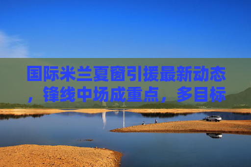 国际米兰夏窗引援最新动态,锋线中场成重点,多目标曝光,财政策略成关键