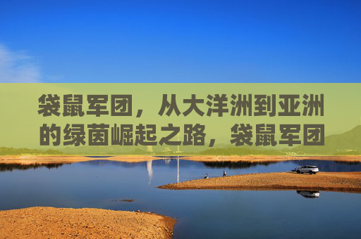 袋鼠军团，从大洋洲到亚洲的绿茵崛起之路，袋鼠军团从大洋洲到亚洲的绿茵崛起