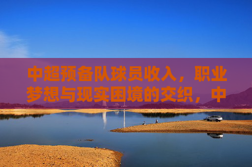 中超预备队球员收入,职业梦想与现实困境的交织,中超预备队球员收入,职业梦想与现实困境的交织