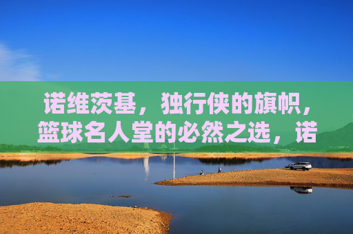 诺维茨基，独行侠的旗帜，篮球名人堂的必然之选，诺维茨基，独行侠旗帜，篮球名人堂必然之选