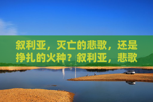 叙利亚，灭亡的悲歌，还是挣扎的火种？叙利亚，悲歌未绝，火种犹存