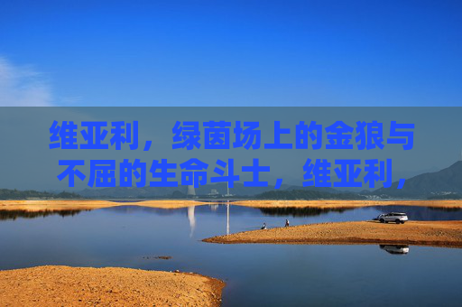 维亚利,绿茵场上的金狼与不屈的生命斗士,维亚利,绿茵金狼与不屈生命斗士