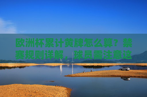 欧洲杯累计黄牌怎么算？禁赛规则详解，球员需注意这些细节，欧洲杯累计黄牌与禁赛规则详解，球员需注意这些细节