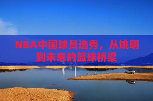 NBA中国球员选秀,从姚明到未来的篮球桥梁