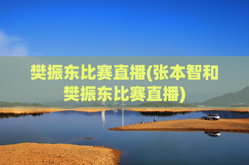 樊振东比赛直播(张本智和樊振东比赛直播)