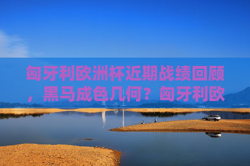 匈牙利欧洲杯近期战绩回顾，黑马成色几何？匈牙利欧洲杯近期战绩，黑马成色几何？