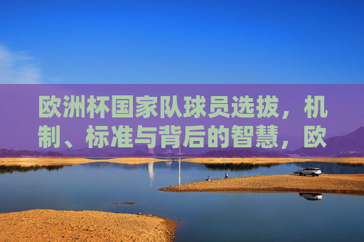 欧洲杯国家队球员选拔,机制、标准与背后的智慧,欧洲杯国家队选拔机制与标准,背后的智慧