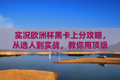 实况欧洲杯黑卡上分攻略,从选人到实战,教你用顶级卡冲高分,实况欧洲杯黑卡上分攻略,选人到实战冲高分