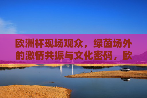 欧洲杯现场观众，绿茵场外的激情共振与文化密码，欧洲杯现场，绿茵场外观众的激情共振与文化密码