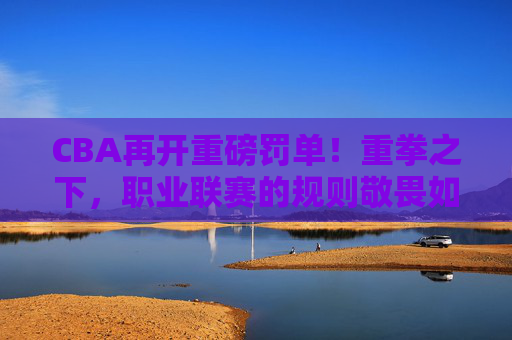 CBA再开重磅罚单!重拳之下,职业联赛的规则敬畏如何落地?CBA重磅罚单,职业联赛规则敬畏的落地之问