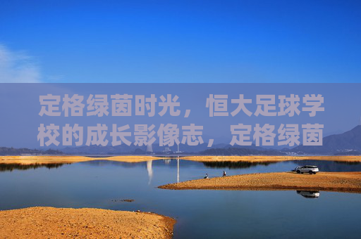 定格绿茵时光,恒大足球学校的成长影像志,定格绿茵,恒大足球成长影像