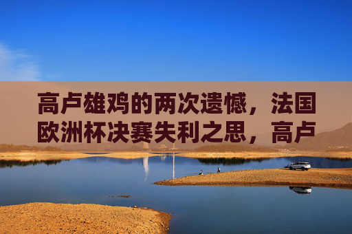 高卢雄鸡的两次遗憾,法国欧洲杯决赛失利之思,高卢雄鸡两度饮恨,欧洲杯决赛失利反思