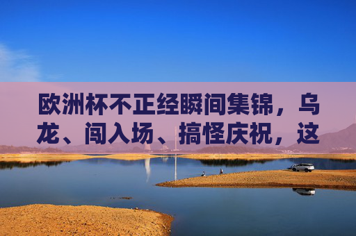 欧洲杯不正经瞬间集锦，乌龙、闯入场、搞怪庆祝，这些趣事你看过吗？欧洲杯不正经瞬间，乌龙闯场搞怪庆祝名场面