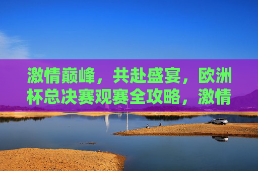 激情巅峰，共赴盛宴，欧洲杯总决赛观赛全攻略，激情盛宴，欧洲杯总决赛观赛全攻略