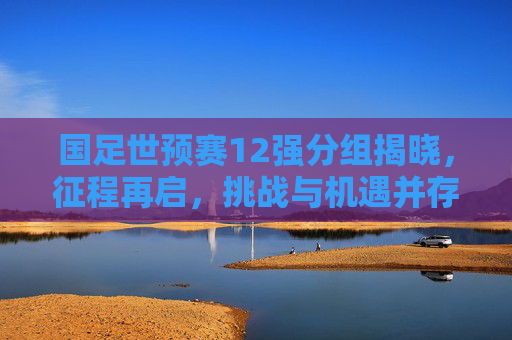 国足世预赛12强分组揭晓，征程再启，挑战与机遇并存，国足世预赛12强分组揭晓 征程再启挑战机遇并存