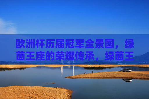 欧洲杯历届冠军全景图，绿茵王座的荣耀传承，绿茵王座，欧洲杯冠军的荣耀全景传承