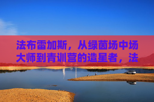 法布雷加斯,从绿茵场中场大师到青训营的造星者,法布雷加斯,从中场大师到青训造星者