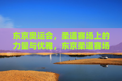 东京奥运会,柔道赛场上的力量与优雅,东京柔道赛场,力量与优雅共舞