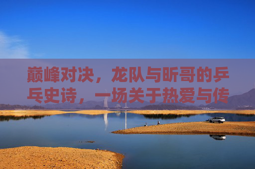 巅峰对决,龙队与昕哥的乒乓史诗,一场关于热爱与传承的决赛,龙队昕哥巅峰对决,乒乓史诗里的热爱与传承