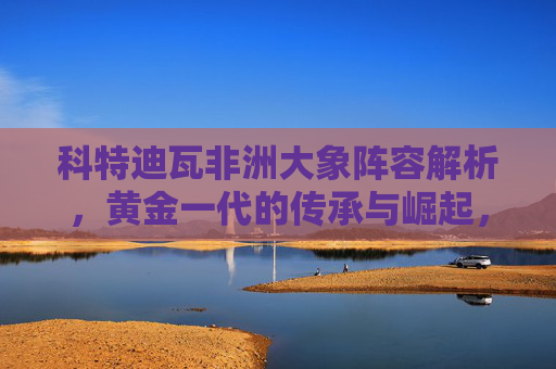 科特迪瓦非洲大象阵容解析，黄金一代的传承与崛起，科特迪瓦非洲大象阵容，黄金一代的传承与崛起