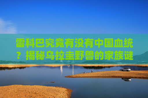 雷科巴究竟有没有中国血统?揭秘乌拉圭野兽的家族谜团,雷科巴有无中国血统?揭秘乌拉圭野兽的家族谜团