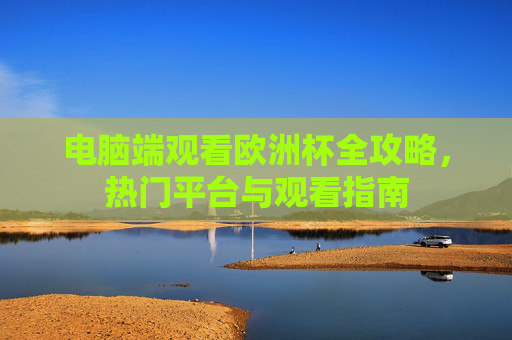 电脑端观看欧洲杯全攻略,热门平台与观看指南