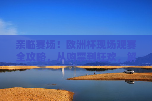 亲临赛场!欧洲杯现场观赛全攻略,从购票到狂欢,解锁沉浸式足球盛宴,欧洲杯现场观赛全攻略,从购票到狂欢,解锁沉浸式足球盛宴