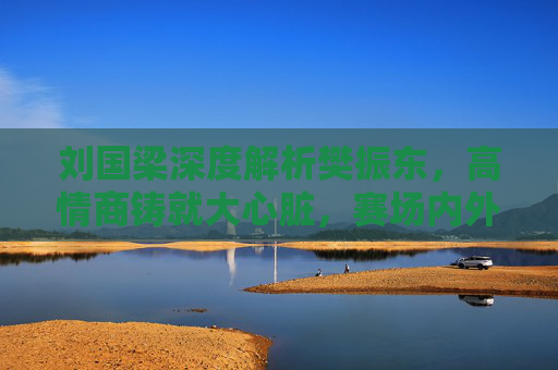 刘国梁深度解析樊振东,高情商铸就大心脏,赛场内外的定海神针,刘国梁深度解析,高情商铸就樊振东大心脏,赛场内外定海神针