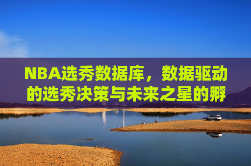 NBA选秀数据库,数据驱动的选秀决策与未来之星的孵化器,NBA选秀数据库,数据驱动的决策与未来之星孵化