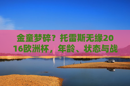 金童梦碎?托雷斯无缘2016欧洲杯,年龄、状态与战术抉择的交织,托雷斯金童梦碎,年龄、状态与战术抉择交织无缘2016欧洲杯