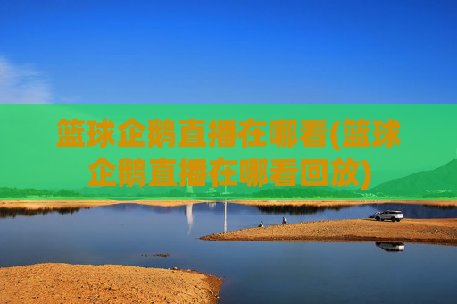 篮球企鹅直播在哪看(篮球企鹅直播在哪看回放)