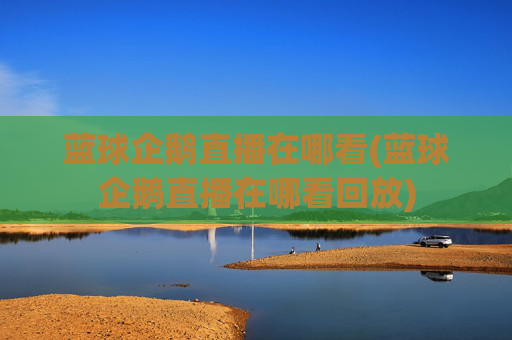 蓝球企鹅直播在哪看(蓝球企鹅直播在哪看回放)