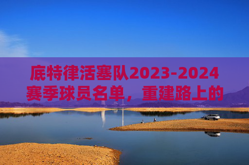底特律活塞队2023-2024赛季球员名单，重建路上的青春风暴与核心拼图，底特律活塞2023-24赛季名单，重建路上的青春风暴与核心拼图