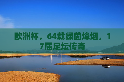欧洲杯,64载绿茵烽烟,17届足坛传奇