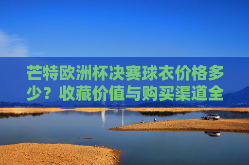 芒特欧洲杯决赛球衣价格多少?收藏价值与购买渠道全解析,芒特欧洲杯决赛球衣,价格、收藏价值与购买渠道全解析