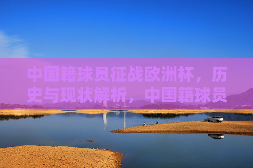 中国籍球员征战欧洲杯,历史与现状解析,中国籍球员欧洲杯征战,历史与现状解析