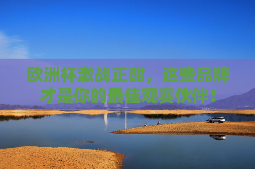 欧洲杯激战正酣,这些品牌才是你的最佳观赛伙伴!