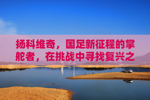 扬科维奇,国足新征程的掌舵者,在挑战中寻找复兴之路,扬科维奇领航国足新征程,在挑战中觅复兴之路