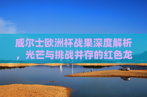 威尔士欧洲杯战果深度解析,光芒与挑战并存的红色龙之旅,威尔士欧洲杯战果解析,光芒与挑战并存的红色龙之旅