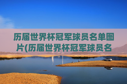 历届世界杯冠军球员名单图片(历届世界杯冠军球员名单图片大全)