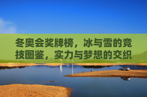 冬奥会奖牌榜,冰与雪的竞技图鉴,实力与梦想的交织,冬奥奖牌榜,冰与雪竞技的实力与梦想交织