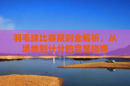 羽毛球比赛规则全解析,从场地到计分的完整指南