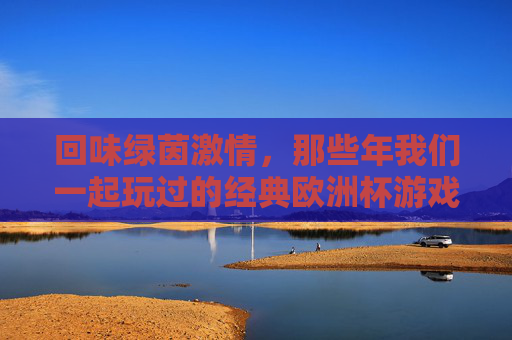 回味绿茵激情,那些年我们一起玩过的经典欧洲杯游戏,回味绿茵激情,那些年我们一起玩过的经典欧洲杯游戏