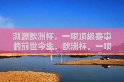 溯源欧洲杯，一项顶级赛事的前世今生，欧洲杯，一项顶级赛事的前世今生
